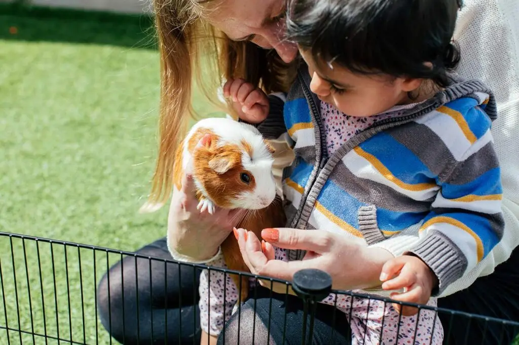 Clapham-Nursery-8